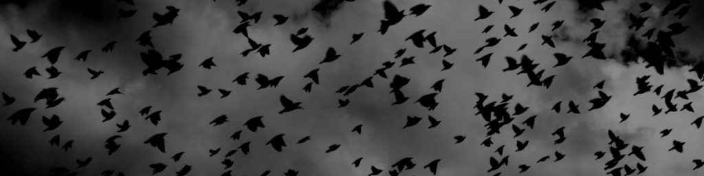 Migration