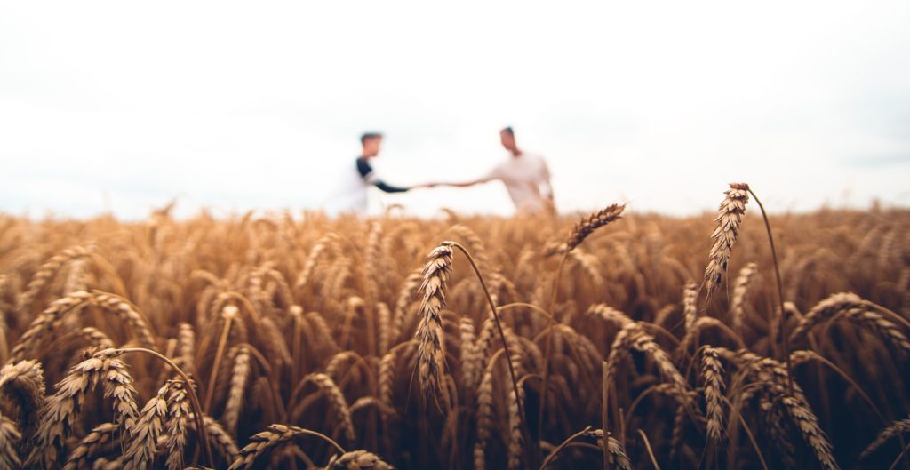 Farm transfers