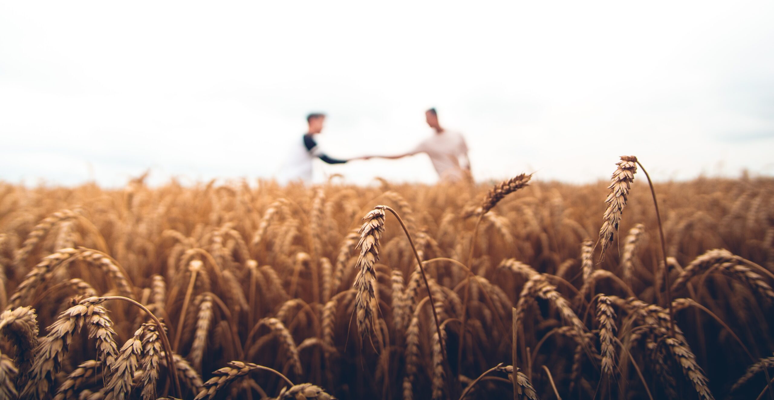 Farm transfers
