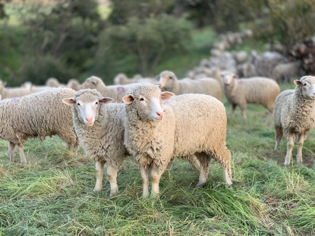 How to pass on your farm