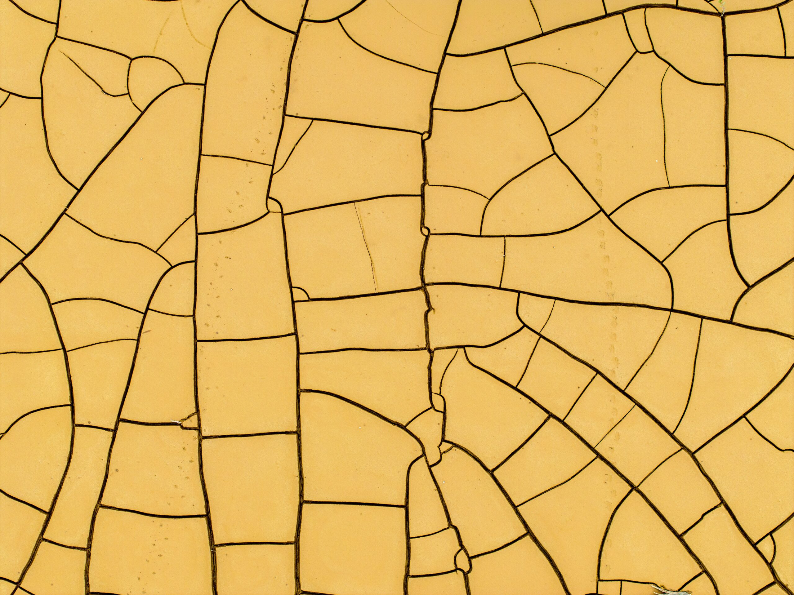 Solution Brief: Incorporating Testamentary Trusts into your Will 