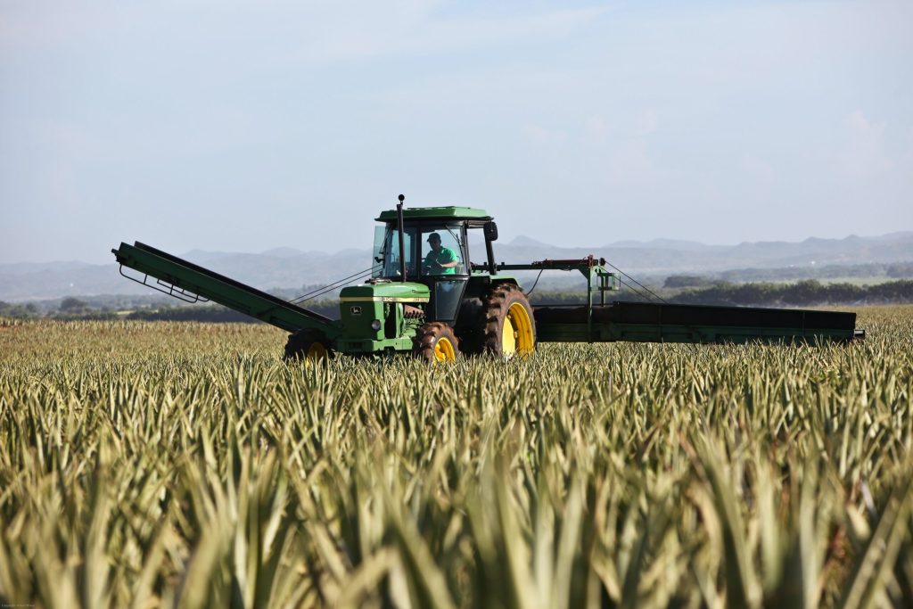 Who gets the farm?