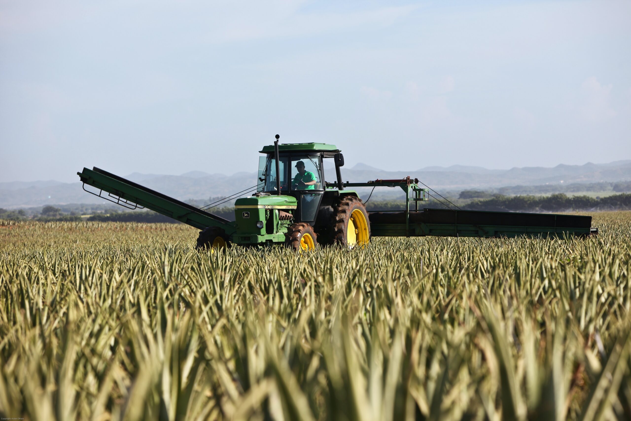 Who gets the farm?