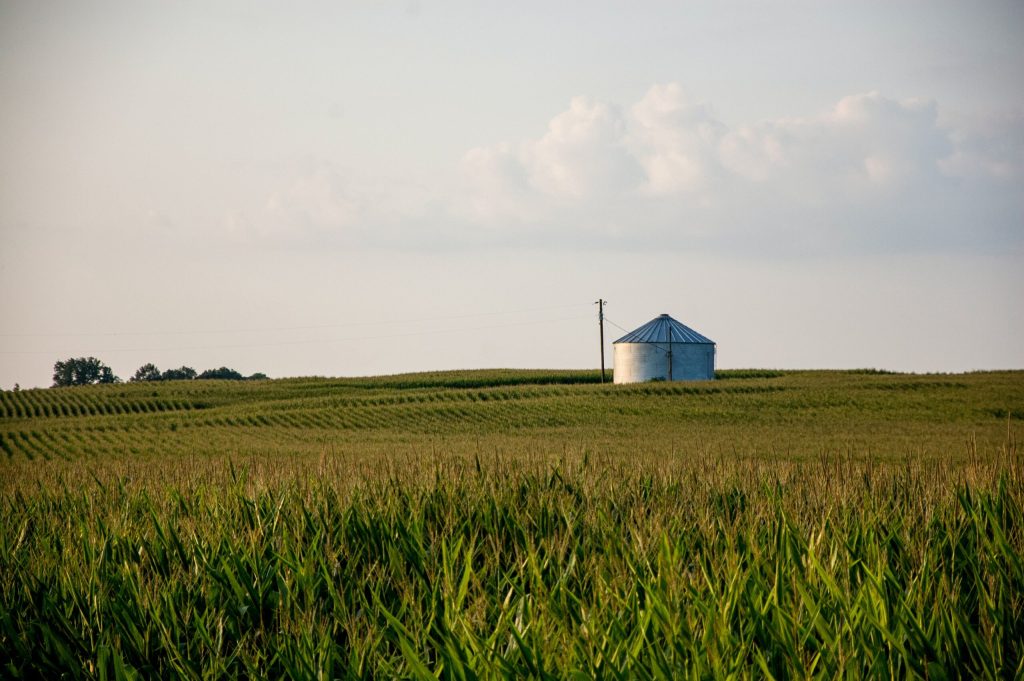Andreyev Lawyers chats with Tax Talks about Asset Protection Silos