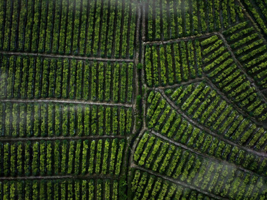 The legal issues that are going to trip you up in 2024