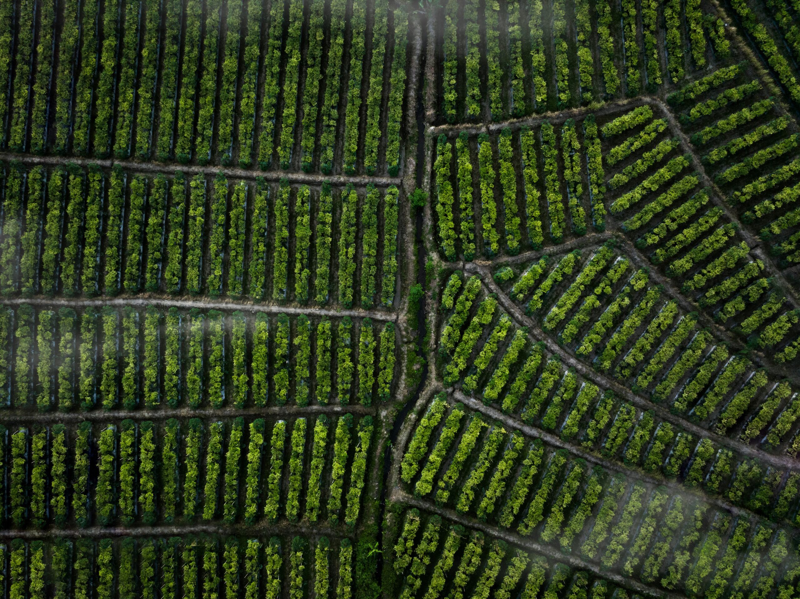 The legal issues that are going to trip you up in 2024