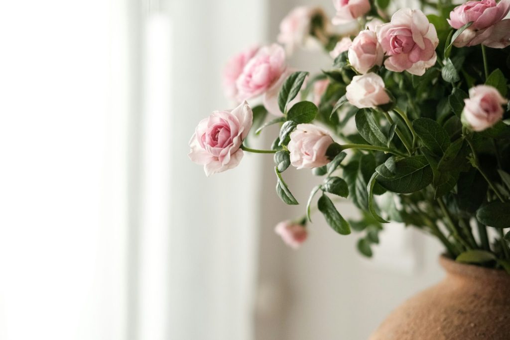 Is it worth transferring your home to your spouse?