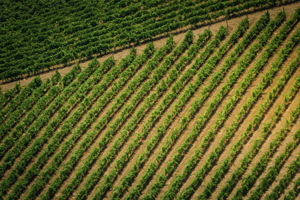 Should you own your farmland in Super?