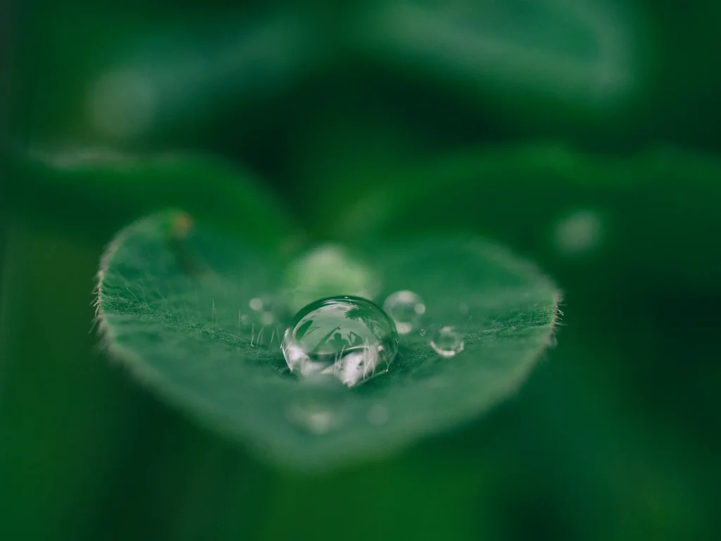 guidance to run your Private Ancillary Fund, charity or not-for-profit organisation with confidence and compliance.