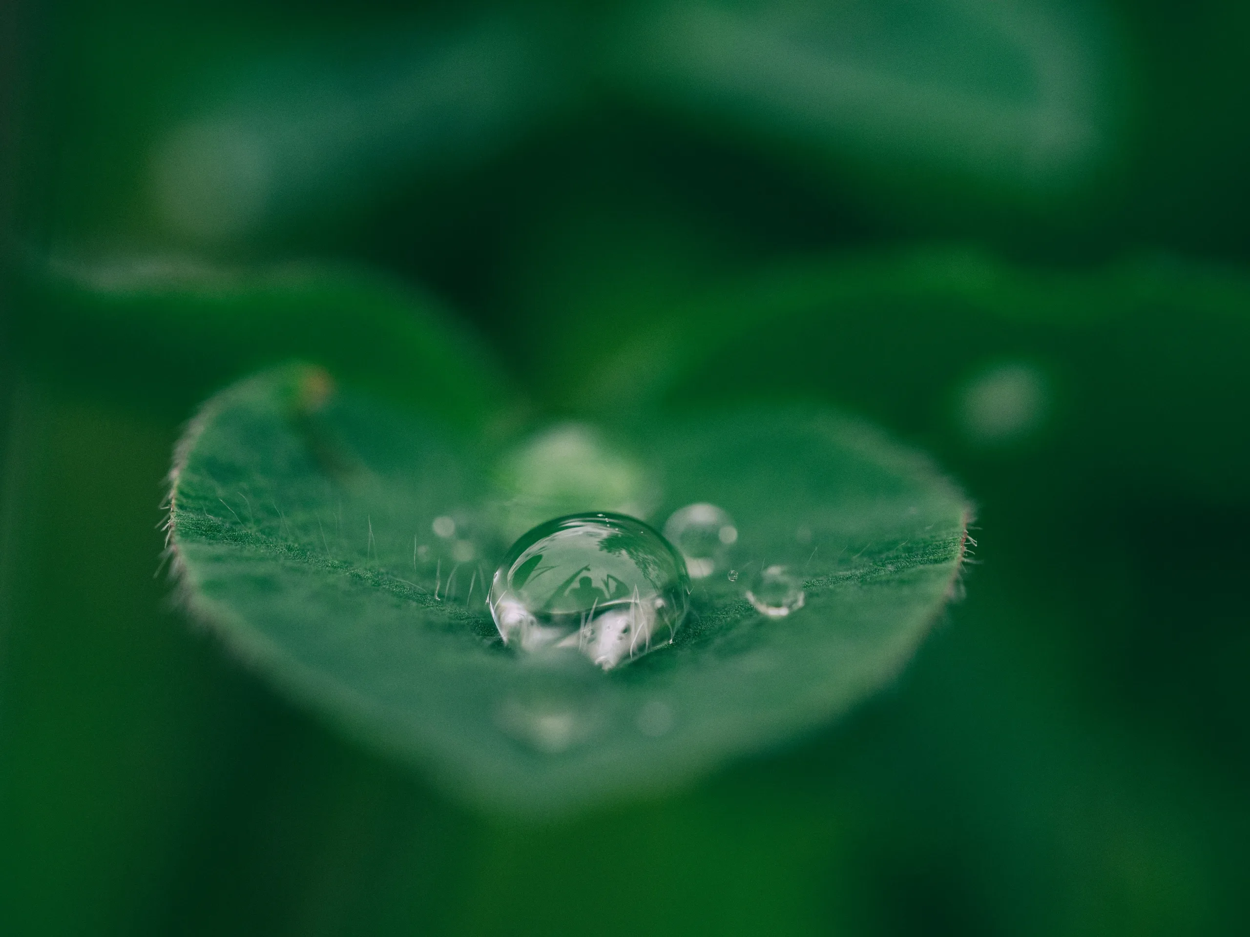 guidance to run your Private Ancillary Fund, charity or not-for-profit organisation with confidence and compliance.