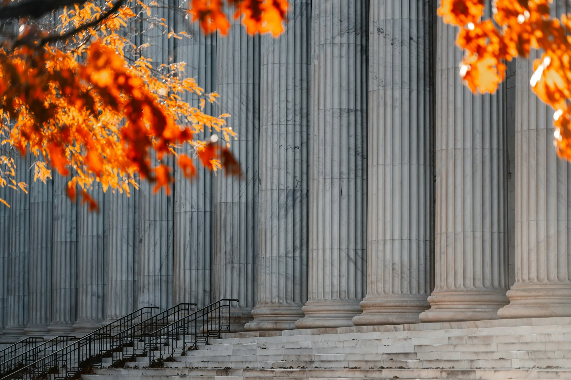 Have you been served? Litigation steps: from claim to court verdict