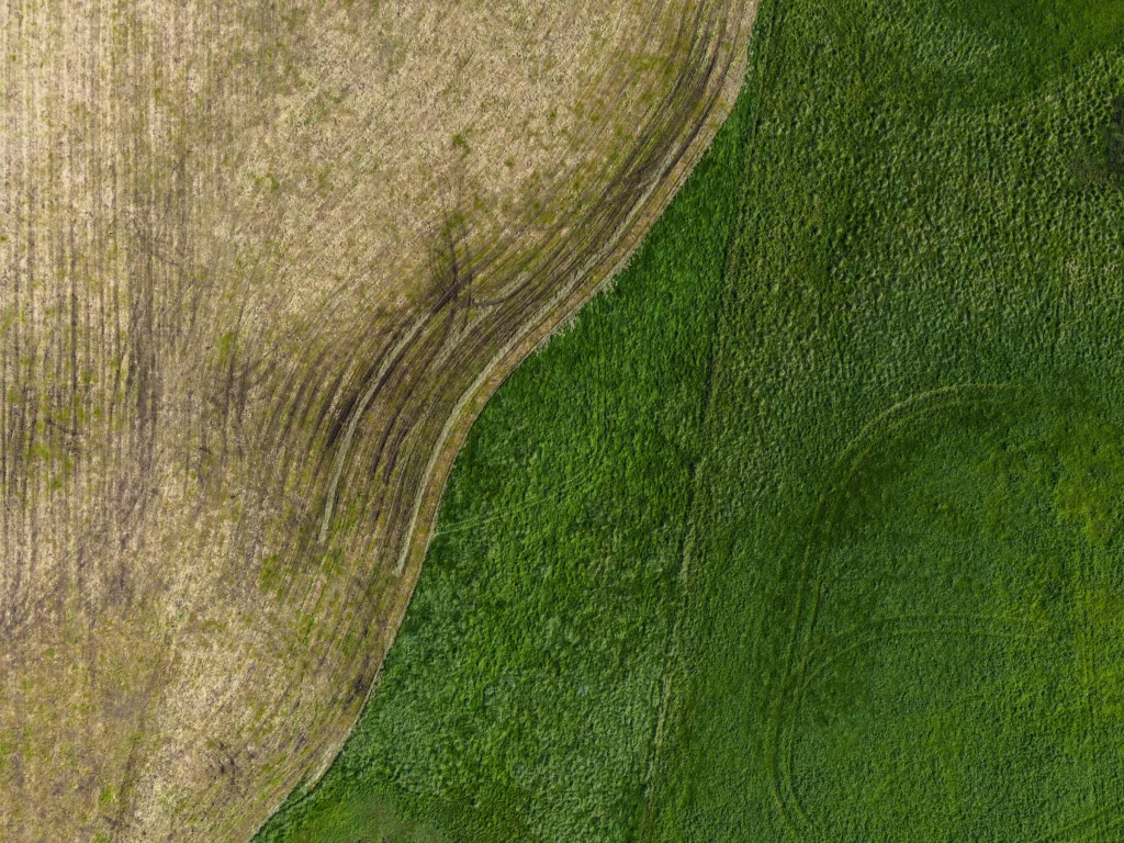 Land tax advice